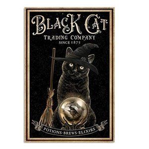 COPY - Black Cat Halloween Witch Art